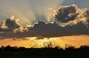 Sunset Between Clouds And Trees, In Florida