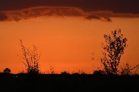 Sunset Between Clouds And Trees, In Florida