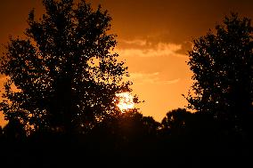 Sunset Between Clouds And Trees, In Florida