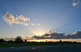 Sunset Between Clouds And Trees, In Florida