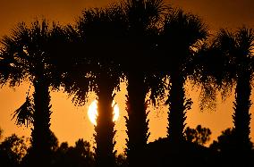 Sunset Between Clouds And Trees, In Florida