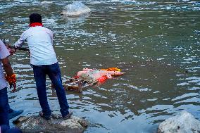 Devotees Immersing Durga Idol In Bagmati River, Nepal.