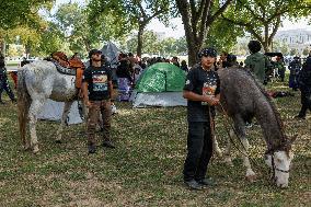 Indigenous Demonstrators Arrive To DC On Horseback