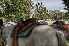 Indigenous Demonstrators Arrive To DC On Horseback