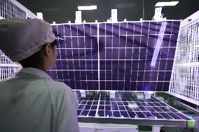 Solar PV Modules Export