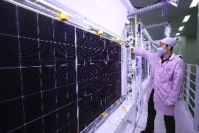 Solar PV Modules Export