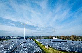 Waalwijk Solar Park - Netherlands