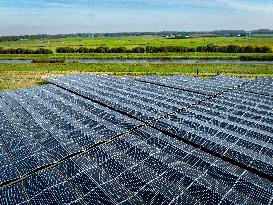 Waalwijk Solar Park - Netherlands