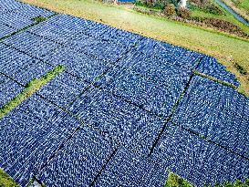 Waalwijk Solar Park - Netherlands