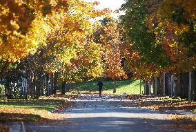 Autumn In Linkoping