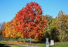 Autumn In Linkoping