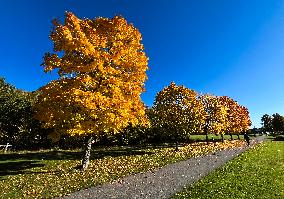 Autumn In Linkoping