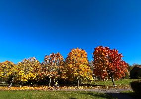 Autumn In Linkoping