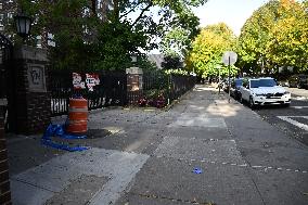 22-year-old Man Brutally And Fatally Stabbed Numerous Times In The West Farms Section Of Bronx New York