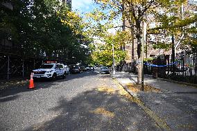 22-year-old Man Brutally And Fatally Stabbed Numerous Times In The West Farms Section Of Bronx New York