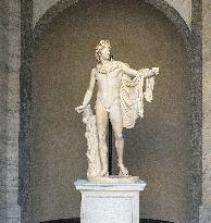 Restored Apollo Belvedere returns to Vatican Museum