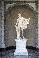 Restored Apollo Belvedere returns to Vatican Museum