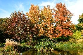 Remarkable Garden Of The Bois Marquis In Autumn