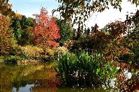 Remarkable Garden Of The Bois Marquis In Autumn