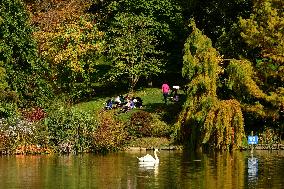 Remarkable Garden Of The Bois Marquis In Autumn