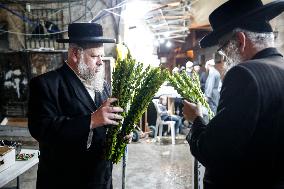 Sukkot 2024 In Jerusalem