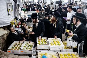 Sukkot 2024 In Jerusalem