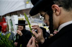 Sukkot 2024 In Jerusalem