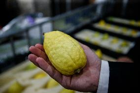 Sukkot 2024 In Jerusalem