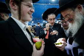 Sukkot 2024 In Jerusalem