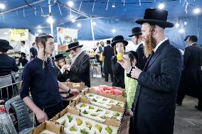 Sukkot 2024 In Jerusalem