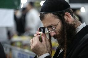 Sukkot 2024 In Jerusalem