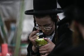 Sukkot 2024 In Jerusalem