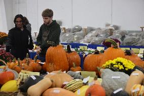 180th Annual Markham Fall Fair