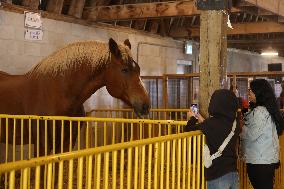 180th Annual Markham Fall Fair