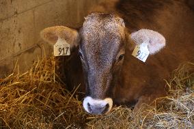 180th Annual Markham Fall Fair