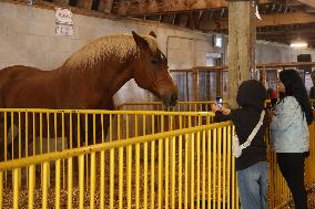 180th Annual Markham Fall Fair