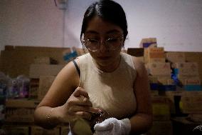 Small Producers In Xochimilco Prepare For The Day Of The Dead In Mexico