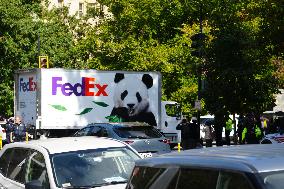 New Pandas Arrive In Washington DC At The National Zoo On October 15, 2024