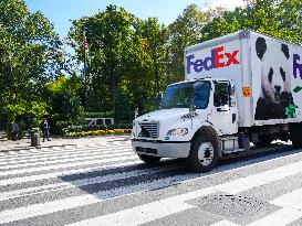 New Pandas Arrive In Washington DC At The National Zoo On October 15, 2024