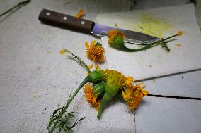 Small Producers In Xochimilco Prepare For The Day Of The Dead In Mexico