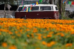 Small Producers In Xochimilco Prepare For The Day Of The Dead In Mexico