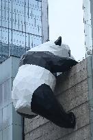 Wall-climbing Giant Panda Sculpture in Chengdu