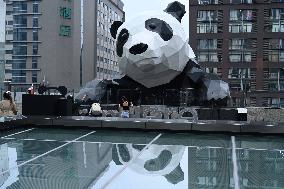 Wall-climbing Giant Panda Sculpture in Chengdu