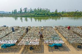 Aquaculture Industry