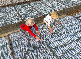 Aquaculture Industry