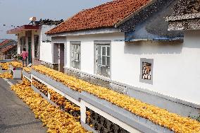 Corn Dry in Qingdao