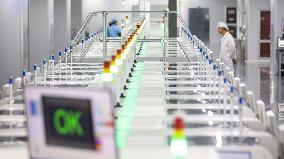 China Manufacturing Industry LED Display