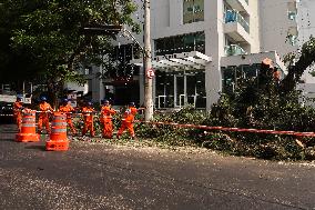 Rain Causes Destruction And Many Trees Fall In São Paulo