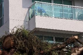 Rain Causes Destruction And Many Trees Fall In São Paulo