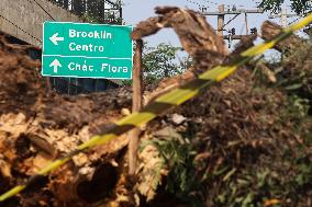 Rain Causes Destruction And Many Trees Fall In São Paulo